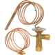 Purchase Top-Quality Expansion Valve by FOUR SEASONS - 38652 pa30