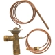 Purchase Top-Quality Expansion Valve by FOUR SEASONS - 38652 pa31