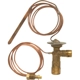 Purchase Top-Quality Expansion Valve by FOUR SEASONS - 38652 pa33