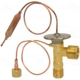 Purchase Top-Quality Expansion Valve by FOUR SEASONS - 38663 pa18