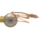 Purchase Top-Quality Expansion Valve by FOUR SEASONS - 38663 pa31