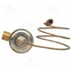 Purchase Top-Quality Expansion Valve by FOUR SEASONS - 38683 pa18