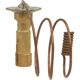 Purchase Top-Quality Expansion Valve by FOUR SEASONS - 38683 pa38