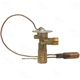 Purchase Top-Quality Expansion Valve by FOUR SEASONS - 38720 pa12