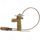 Purchase Top-Quality Expansion Valve by FOUR SEASONS - 38720 pa14