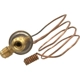 Purchase Top-Quality Expansion Valve by FOUR SEASONS - 38722 pa16