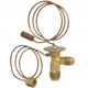 Purchase Top-Quality Expansion Valve by FOUR SEASONS - 38723 pa3