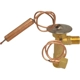 Purchase Top-Quality Expansion Valve by FOUR SEASONS - 38762 pa20