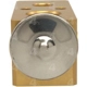Purchase Top-Quality Expansion Valve by FOUR SEASONS - 38801 pa19