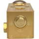 Purchase Top-Quality Expansion Valve by FOUR SEASONS - 38801 pa7