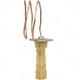 Purchase Top-Quality Expansion Valve by FOUR SEASONS - 38806 pa2