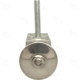 Purchase Top-Quality Expansion Valve by FOUR SEASONS - 38807 pa11