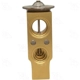 Purchase Top-Quality Valve d'expension de FOUR SEASONS - 38813 pa1