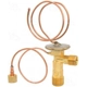 Purchase Top-Quality Expansion Valve by FOUR SEASONS - 38844 pa21