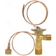 Purchase Top-Quality Expansion Valve by FOUR SEASONS - 38844 pa22