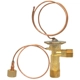 Purchase Top-Quality Expansion Valve by FOUR SEASONS - 38844 pa28