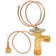 Purchase Top-Quality Expansion Valve by FOUR SEASONS - 38844 pa31