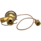 Purchase Top-Quality Expansion Valve by FOUR SEASONS - 38844 pa33