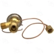 Purchase Top-Quality Expansion Valve by FOUR SEASONS - 38844 pa5