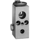 Purchase Top-Quality Expansion Valve by FOUR SEASONS - 38848 pa21