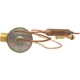 Purchase Top-Quality Valve d'expension de FOUR SEASONS - 38864 pa33
