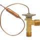 Purchase Top-Quality Expansion Valve by FOUR SEASONS - 38869 pa23