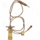 Purchase Top-Quality Expansion Valve by FOUR SEASONS - 38872 pa1