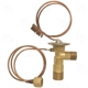 Purchase Top-Quality Expansion Valve by FOUR SEASONS - 38872 pa10