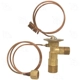 Purchase Top-Quality Valve d'expension by FOUR SEASONS - 38872 pa10