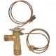 Purchase Top-Quality Expansion Valve by FOUR SEASONS - 38872 pa11