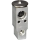 Purchase Top-Quality Expansion Valve by FOUR SEASONS - 38888 pa21