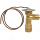 Purchase Top-Quality Expansion Valve by FOUR SEASONS - 38891 pa2