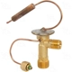 Purchase Top-Quality Expansion Valve by FOUR SEASONS - 38906 pa1