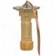 Purchase Top-Quality Expansion Valve by FOUR SEASONS - 38907 pa1