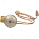 Purchase Top-Quality Expansion Valve by FOUR SEASONS - 39000 pa10