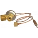 Purchase Top-Quality Expansion Valve by FOUR SEASONS - 39000 pa31