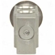 Purchase Top-Quality Expansion Valve by FOUR SEASONS - 39006 pa6