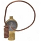 Purchase Top-Quality Expansion Valve by FOUR SEASONS - 39010 pa18