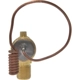 Purchase Top-Quality Expansion Valve by FOUR SEASONS - 39010 pa32