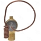 Purchase Top-Quality Expansion Valve by FOUR SEASONS - 39010 pa8