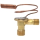 Purchase Top-Quality Expansion Valve by FOUR SEASONS - 39011 pa33