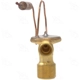 Purchase Top-Quality Expansion Valve by FOUR SEASONS - 39019 pa10