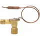 Purchase Top-Quality Expansion Valve by FOUR SEASONS - 39019 pa16
