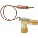 Purchase Top-Quality Expansion Valve by FOUR SEASONS - 39019 pa19