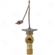 Purchase Top-Quality Expansion Valve by FOUR SEASONS - 39025 pa13