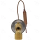 Purchase Top-Quality Expansion Valve by FOUR SEASONS - 39025 pa14