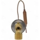 Purchase Top-Quality Expansion Valve by FOUR SEASONS - 39025 pa6