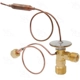 Purchase Top-Quality Expansion Valve by FOUR SEASONS - 39027 pa1