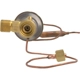 Purchase Top-Quality Expansion Valve by FOUR SEASONS - 39027 pa31
