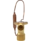 Purchase Top-Quality Expansion Valve by FOUR SEASONS - 39031 pa39